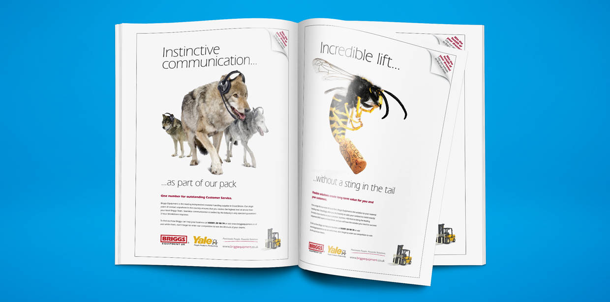 Briggs Advertising Campaign